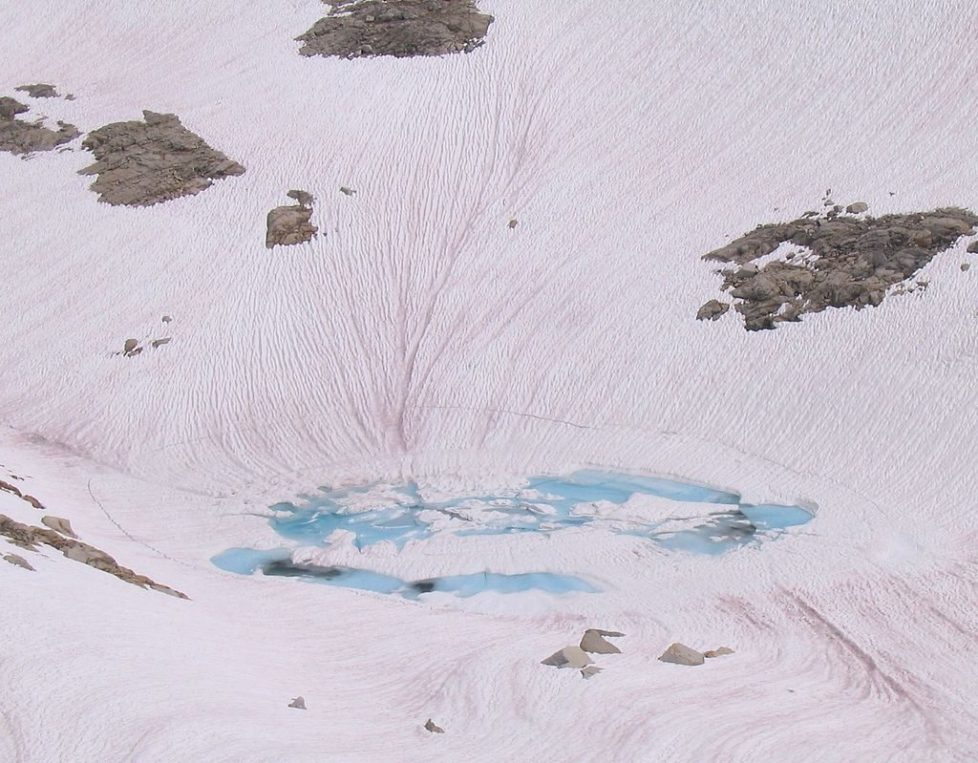 1024px-Watermelon_snow_streaks_3