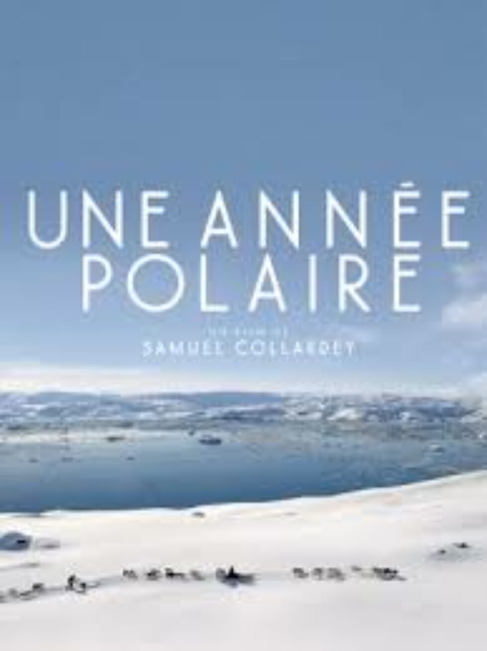 une_annee_polaire