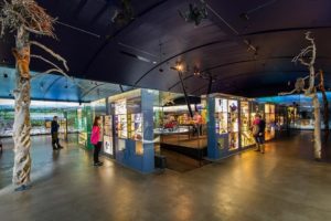 photo du musée sami siida