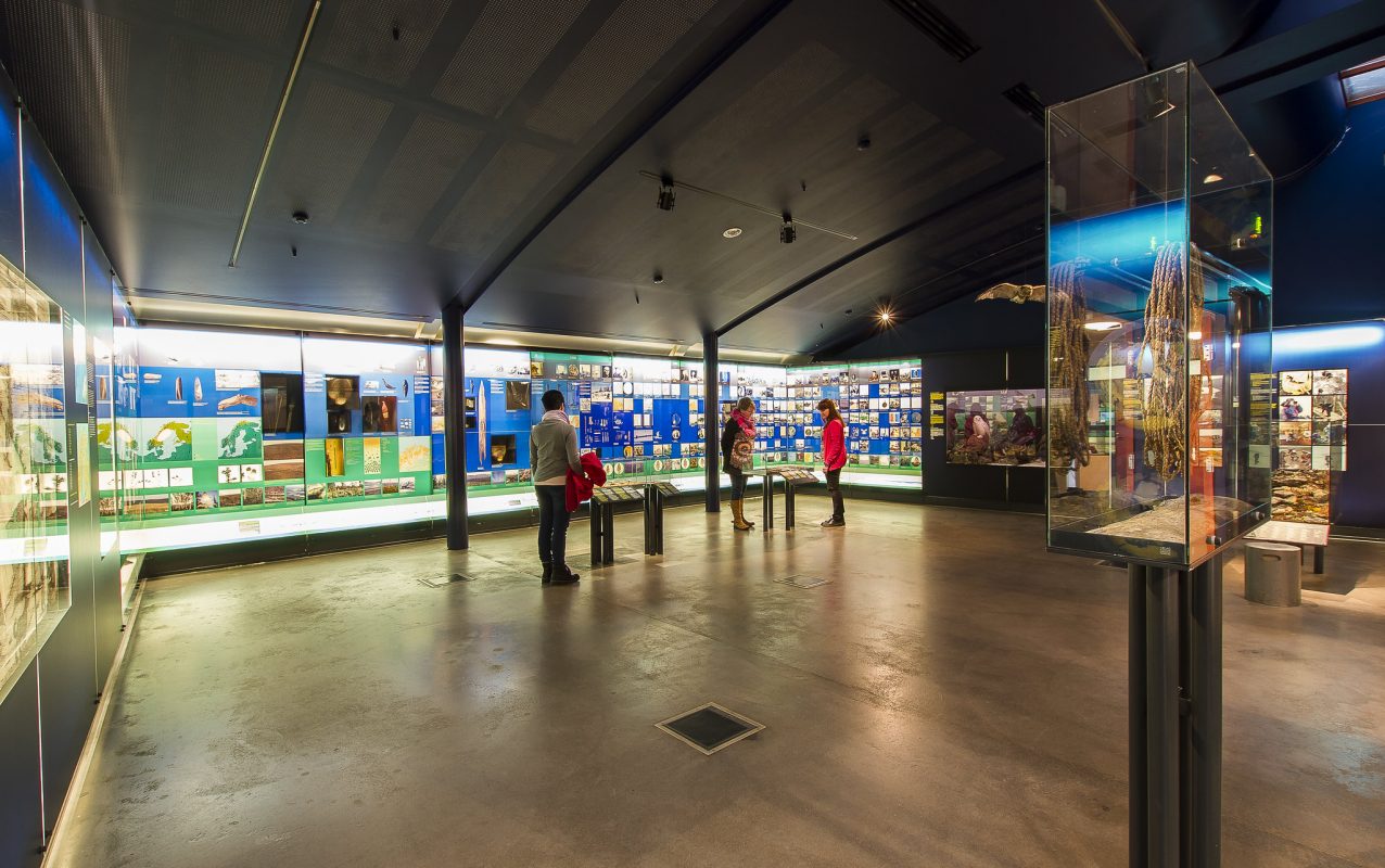 photo du musée sami siida